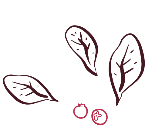 flowers-petals