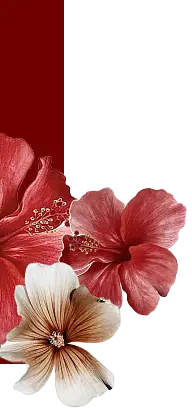 mobile-left-img