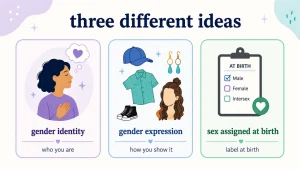 different aspects of gender as assigned as idenntity adn as expression