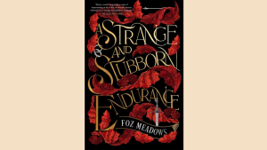 gay romance book cover for a strange and stubborn endurance with arranged marriage and court danger