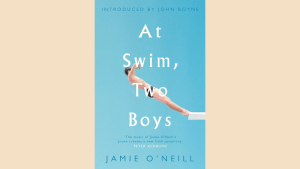 gay romance book cover for at swim two boys with irish history politics and deepening friendship