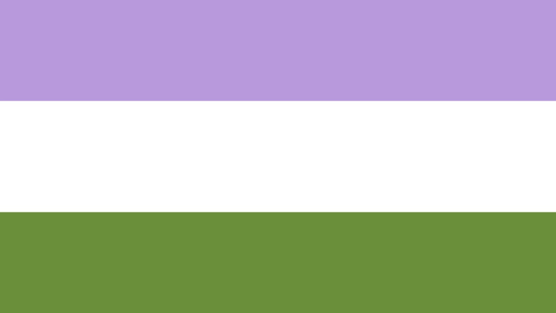 Genderqueer pride flag with three horizontal stripes: lavender on top, white in the middle, and dark chartreuse at the bottom.
