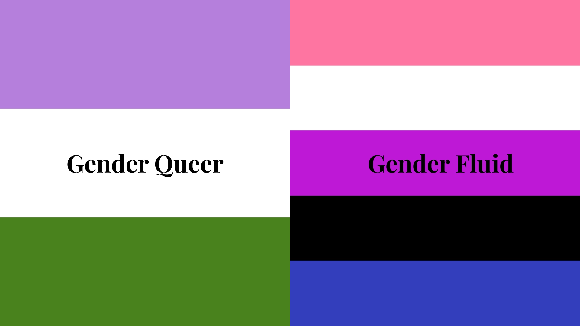 genderqueer flag and genderfluid flag