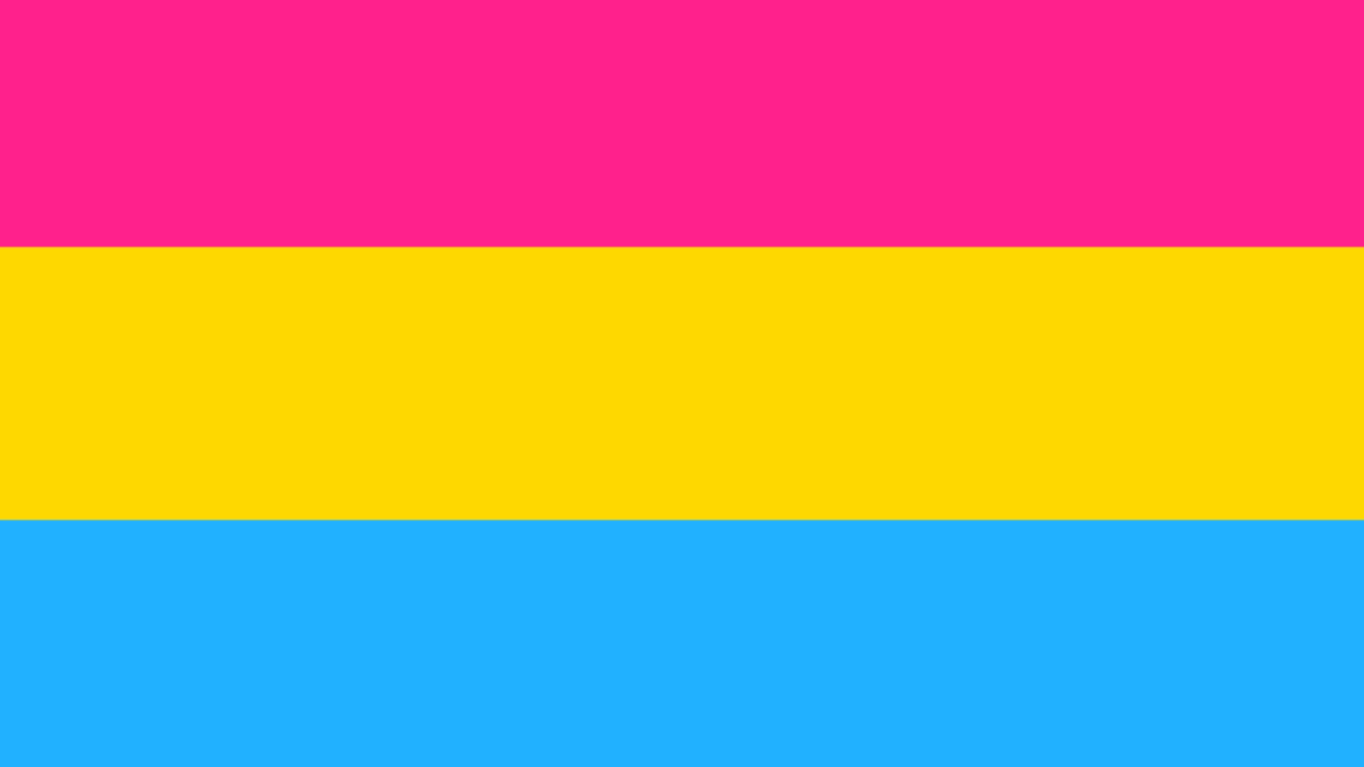 Pansexual pride flag with three horizontal stripes. From top to bottom, the colors are pink, yellow, and blue, symbolizing inclusivity.