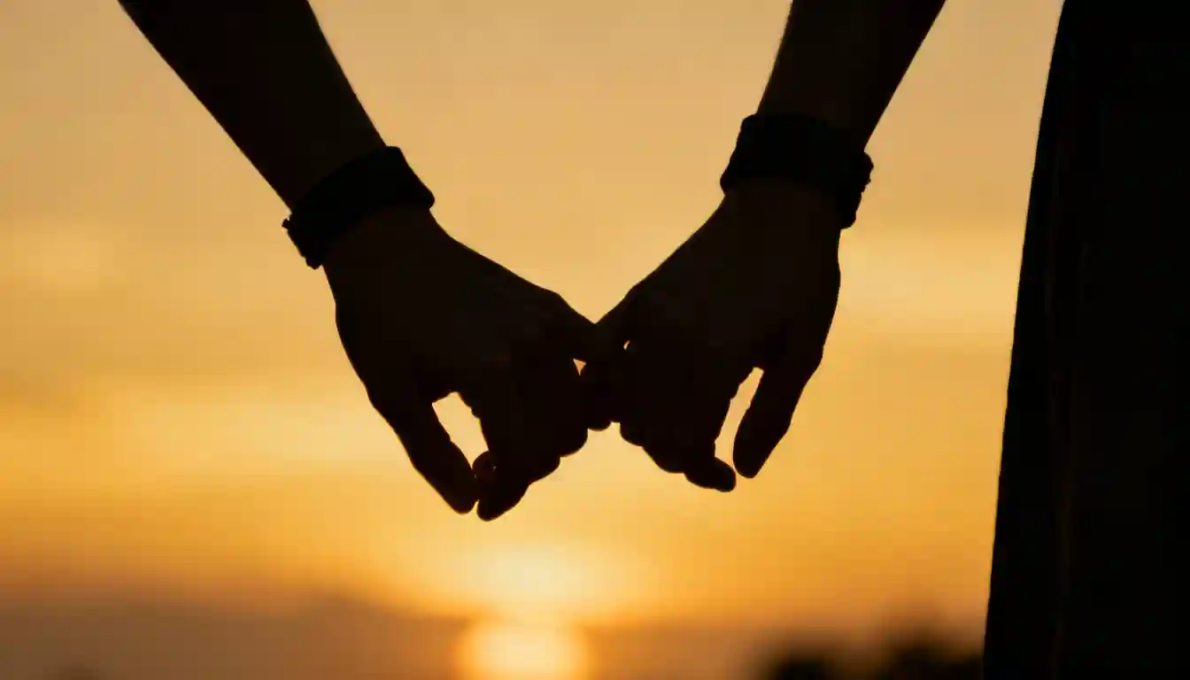 Silhouetted hands with black wristbands link pinkies against a warm, blurred sunset sky.