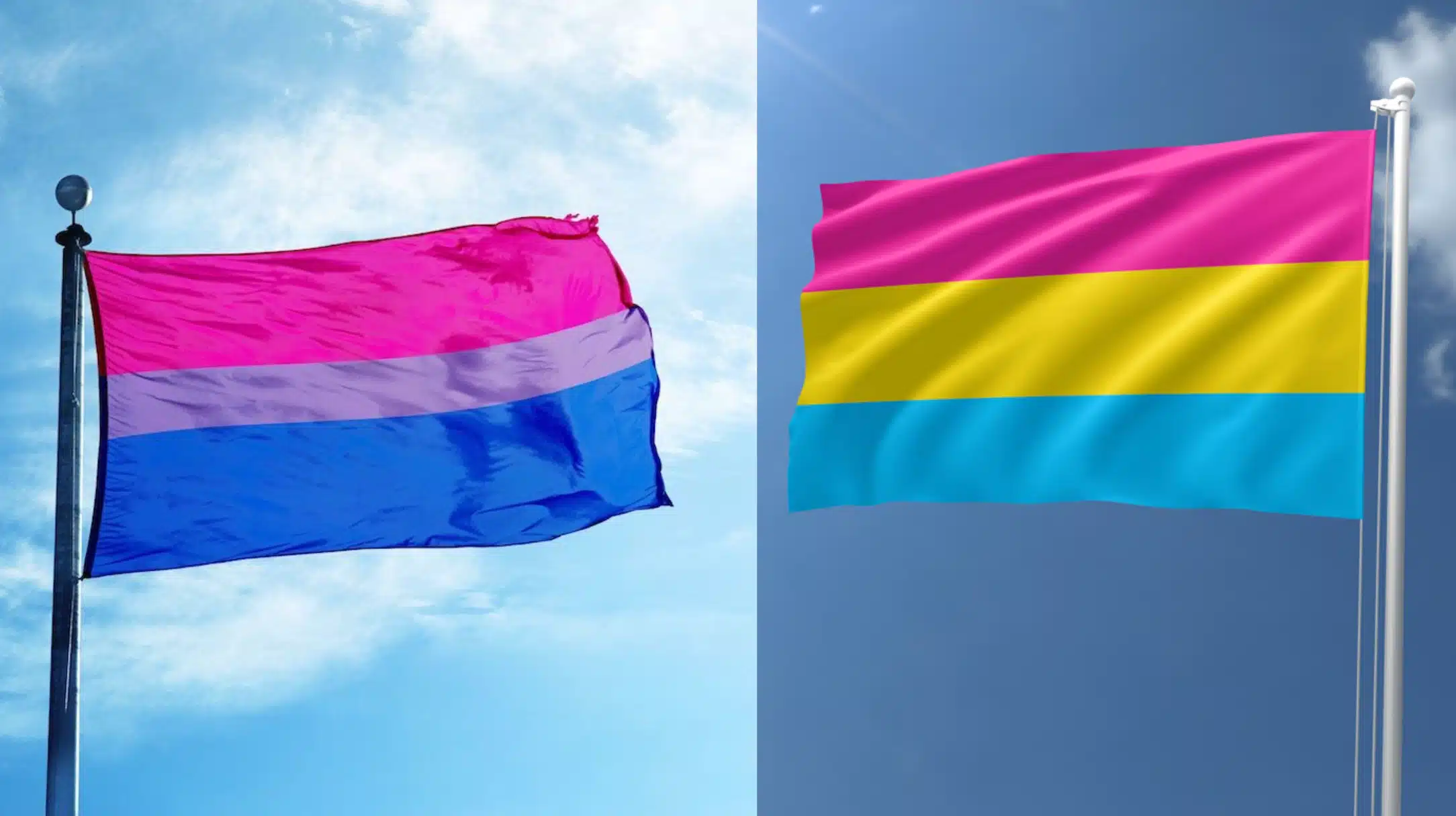bisexual and pansexual pride flags wave side by side against blue skies, showing their colors for lgbtqia+ visibility